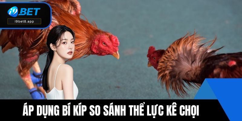 Áp dụng bí kíp so sánh thể lực kê chọi